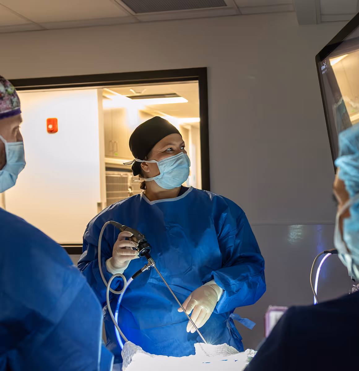 veterinary surgeon using a surgical laser tool