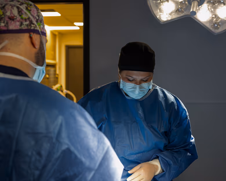veterinary surgeon performing surgery
