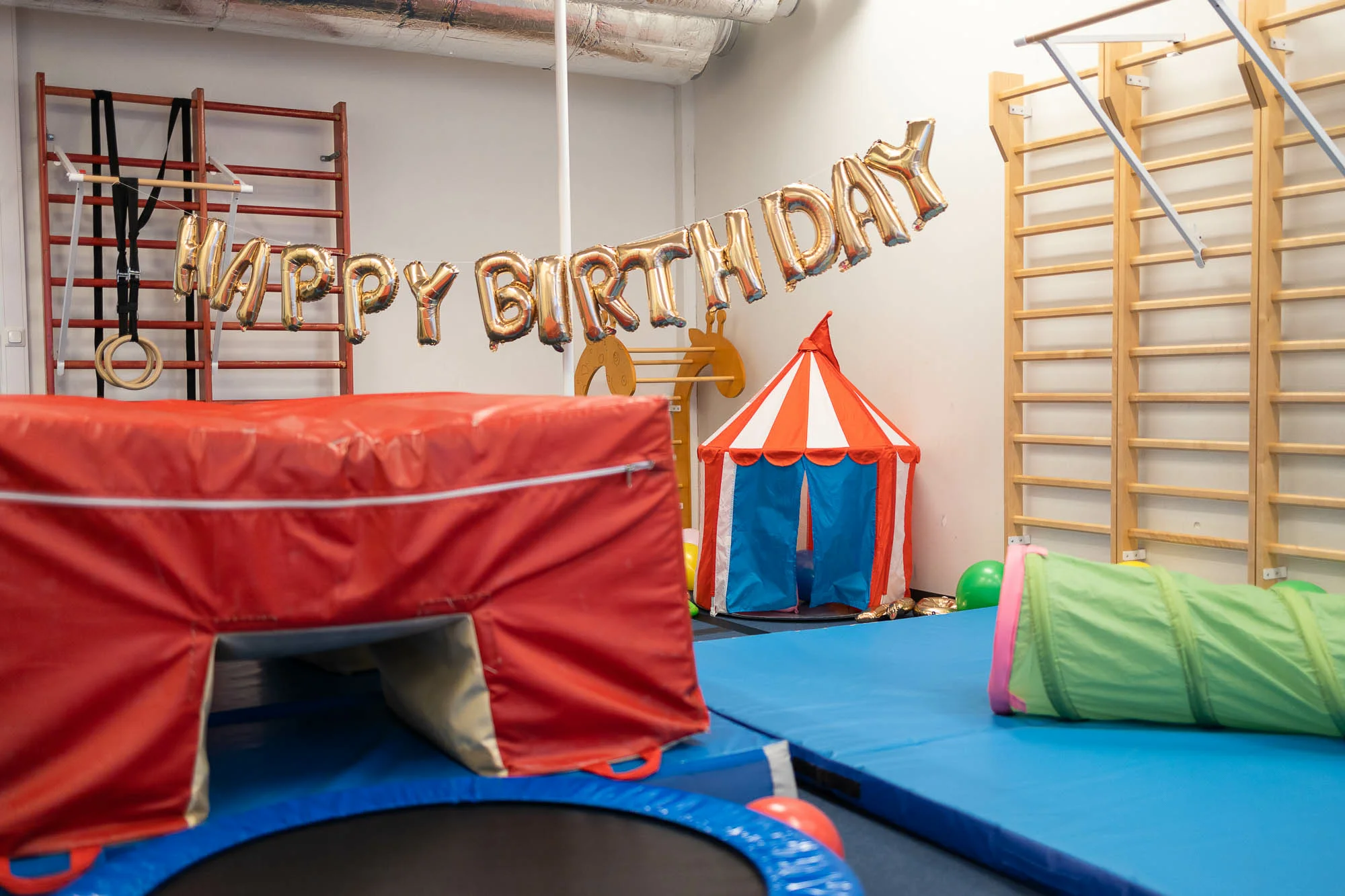 image of music fans at concert