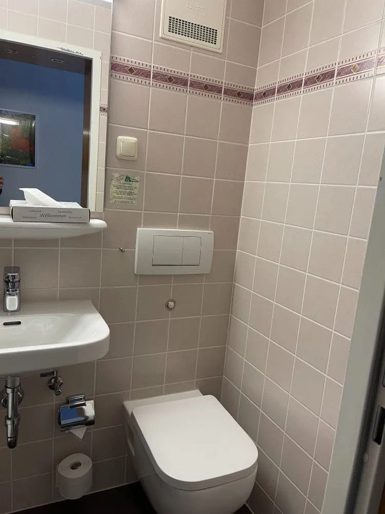 Kleines Hotelbad mit Waschbecken, Toilette und Dusche.