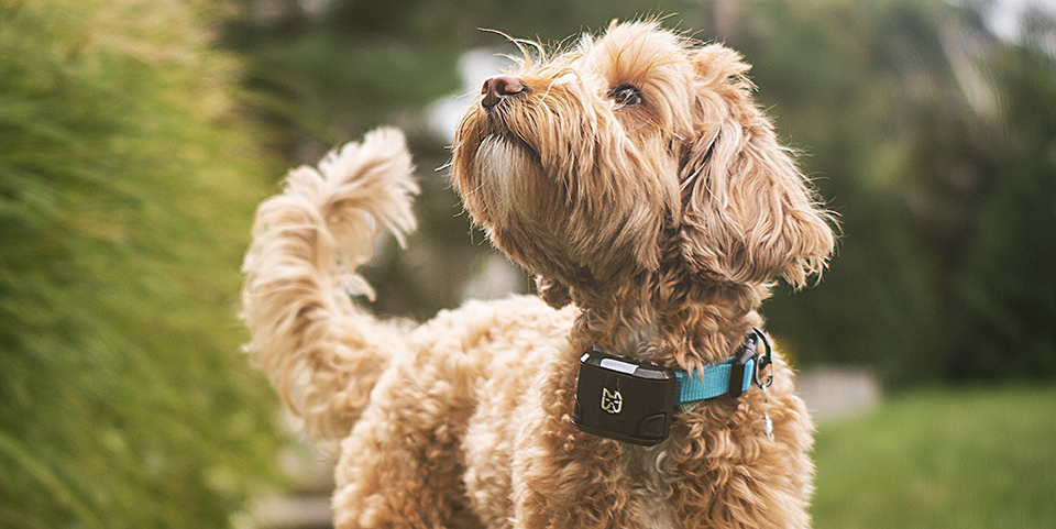 Thumbnail of video production.