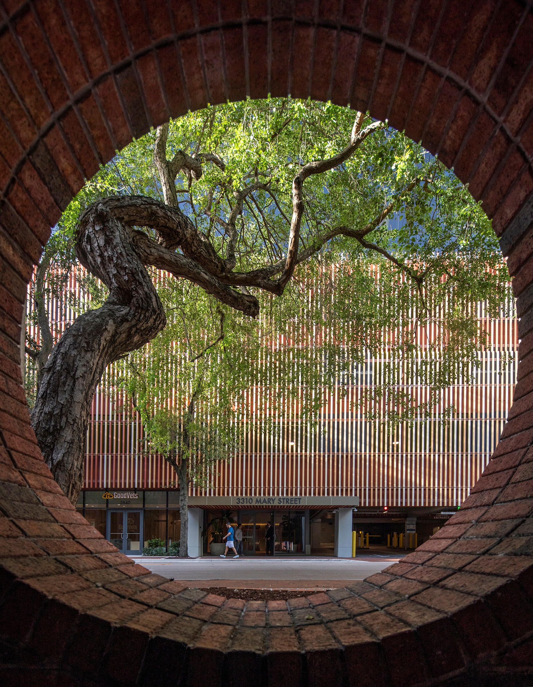 Mary Street - Moon Gate