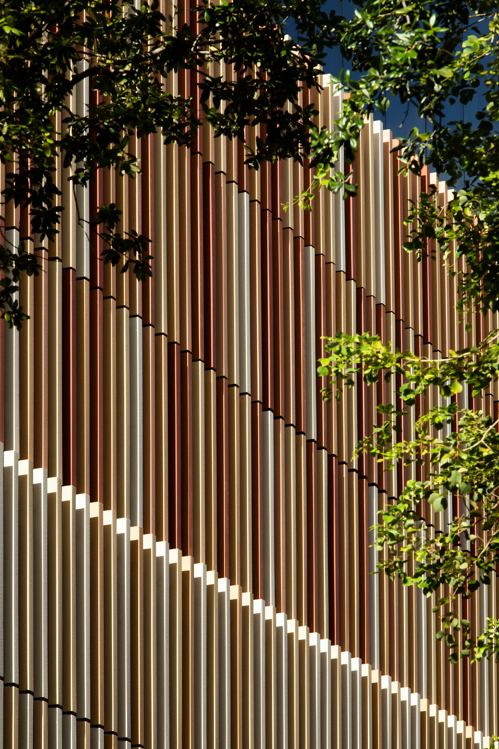 Mary Street - Terracotta Baguettes