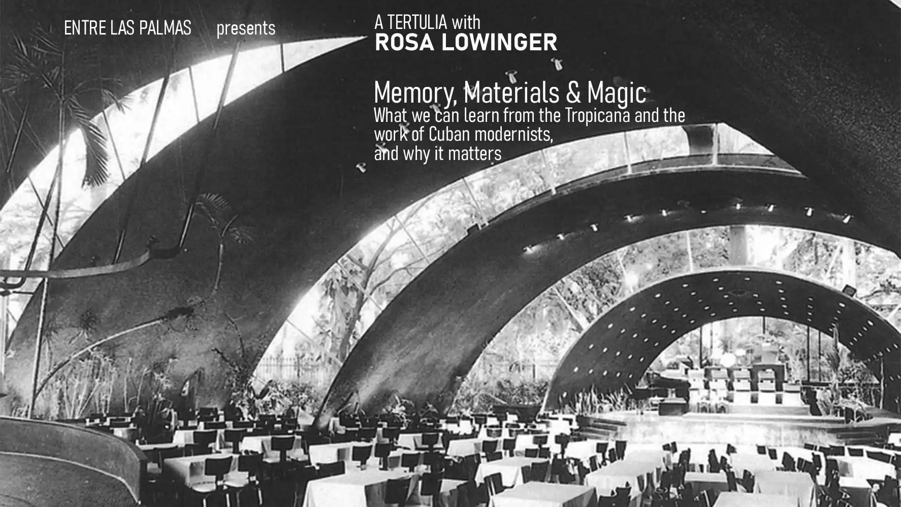 Entre Las Palmas - Memory, Materials, & Magic
