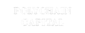 White text reading 'POLYCHAIN CAPITAL' on a black background.