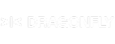 Logo with stylized white dragonfly icon followed by the text DRAGONFLY on a black background.