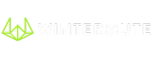 Wintermute company logo with green geometric symbol and white text.
