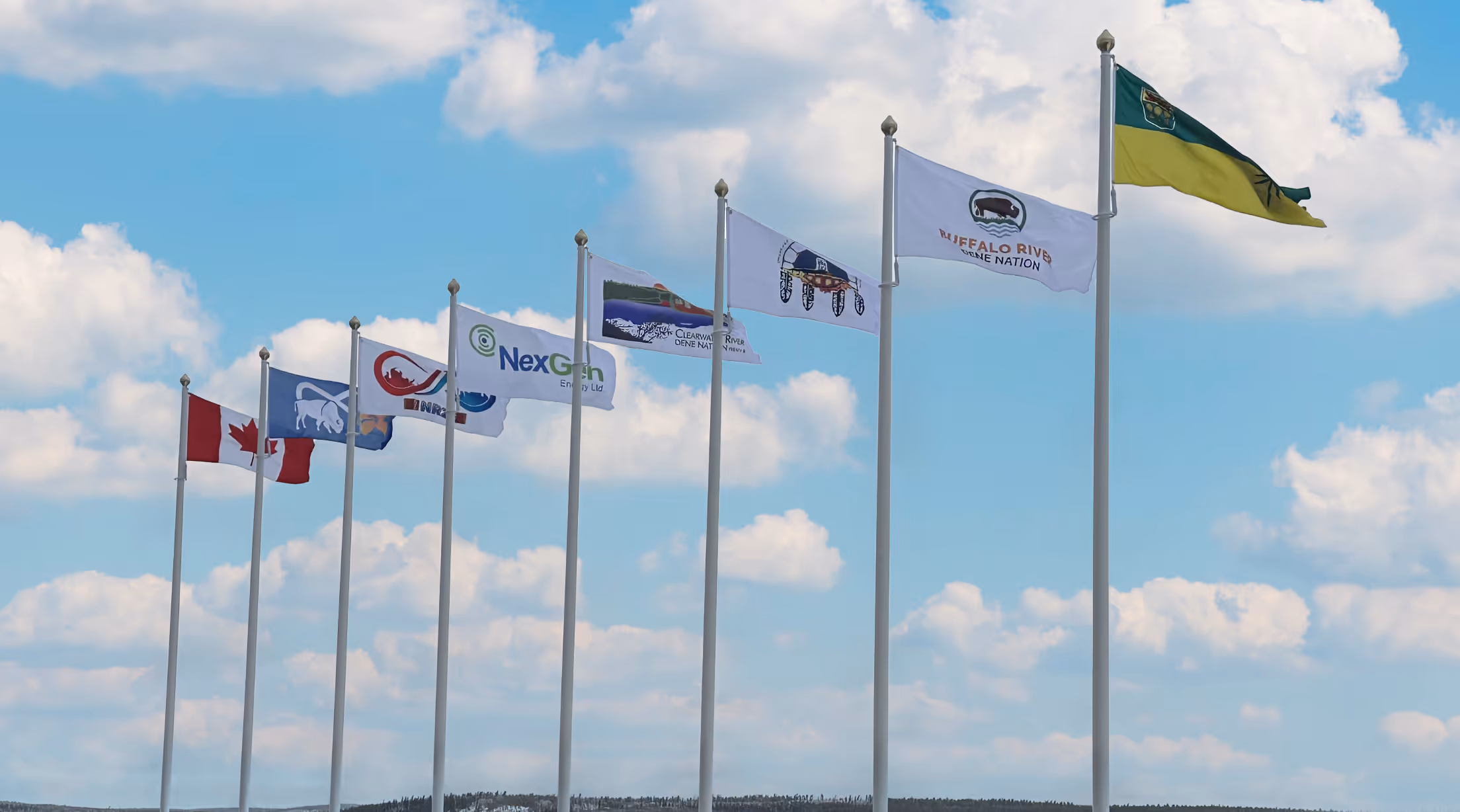 Eight flags on poles flying in the wind under a partly cloudy sky above a distant treeline.