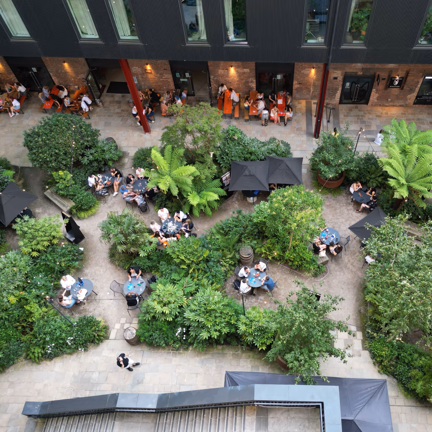 Lush, green garden.