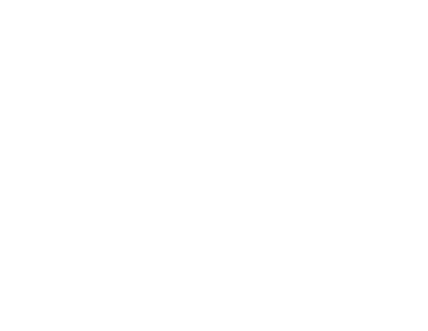Unelmaseppä logo