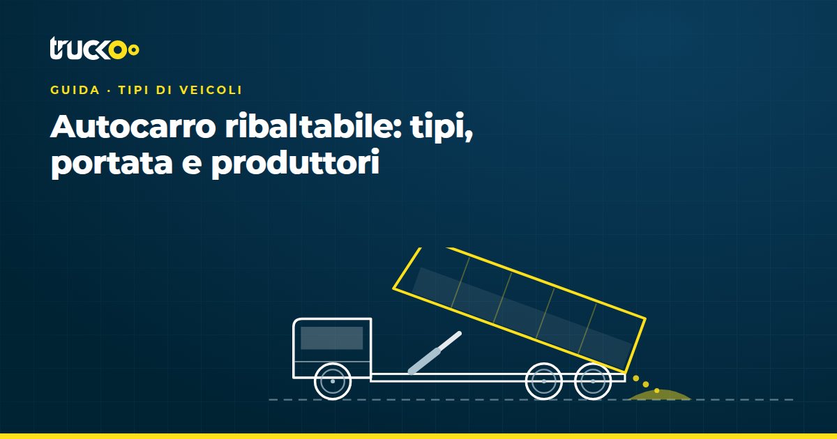 Autocarro ribaltabile: tipi, portata e produttori