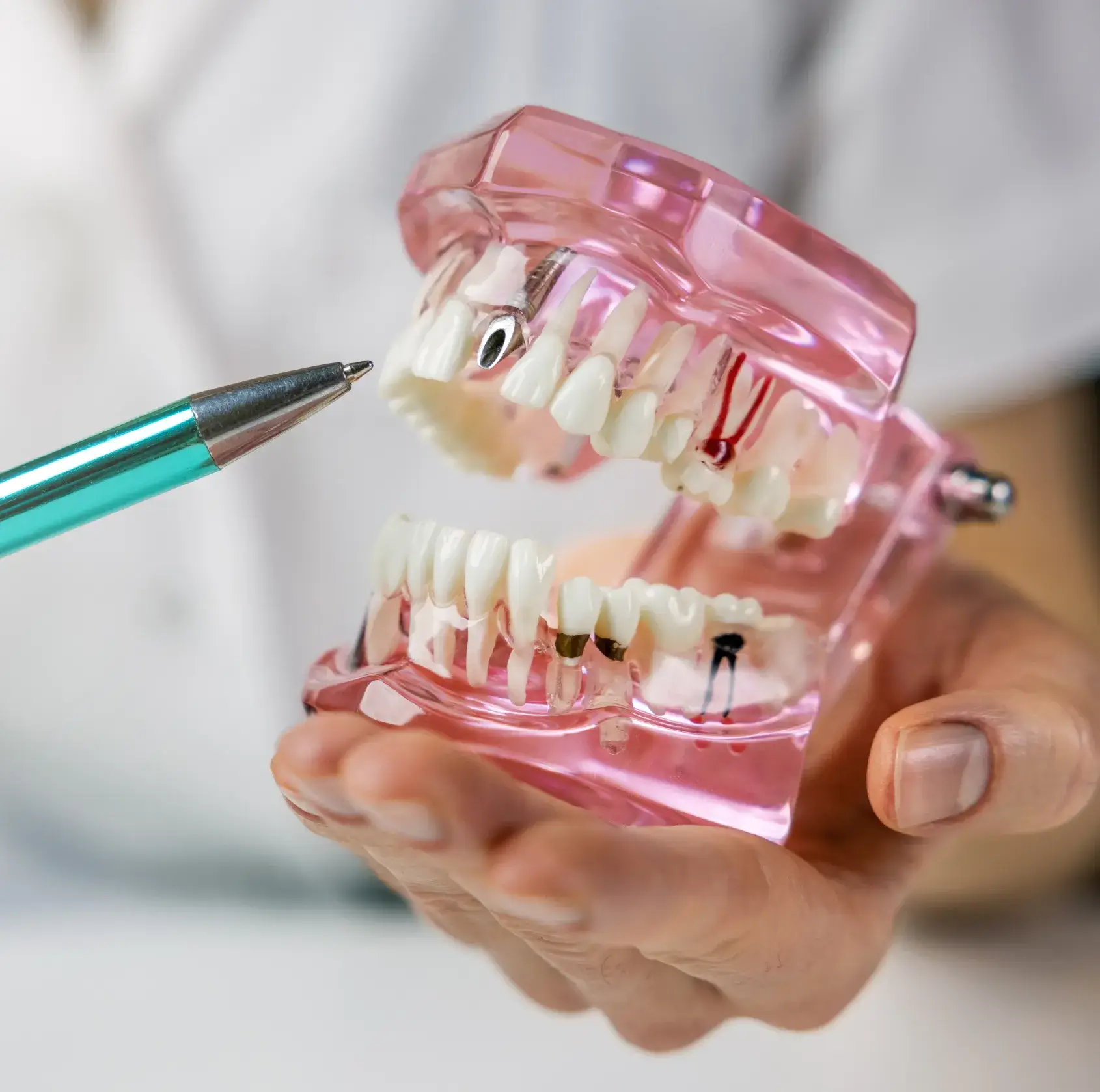 A person holding a toothbrush in their hand.