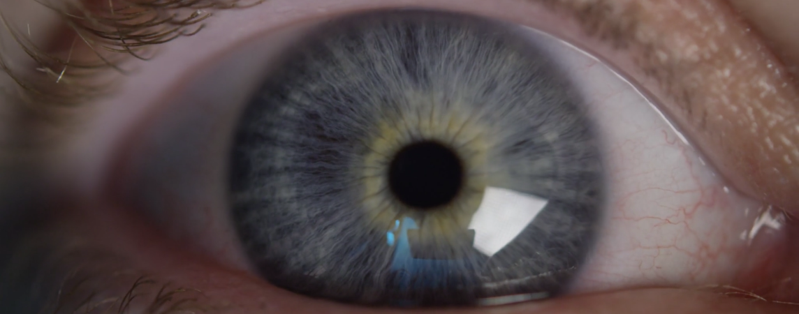 A Guide to Psychedelics