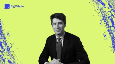 Relaxation of the Platypus hackers: criminal law powerless?