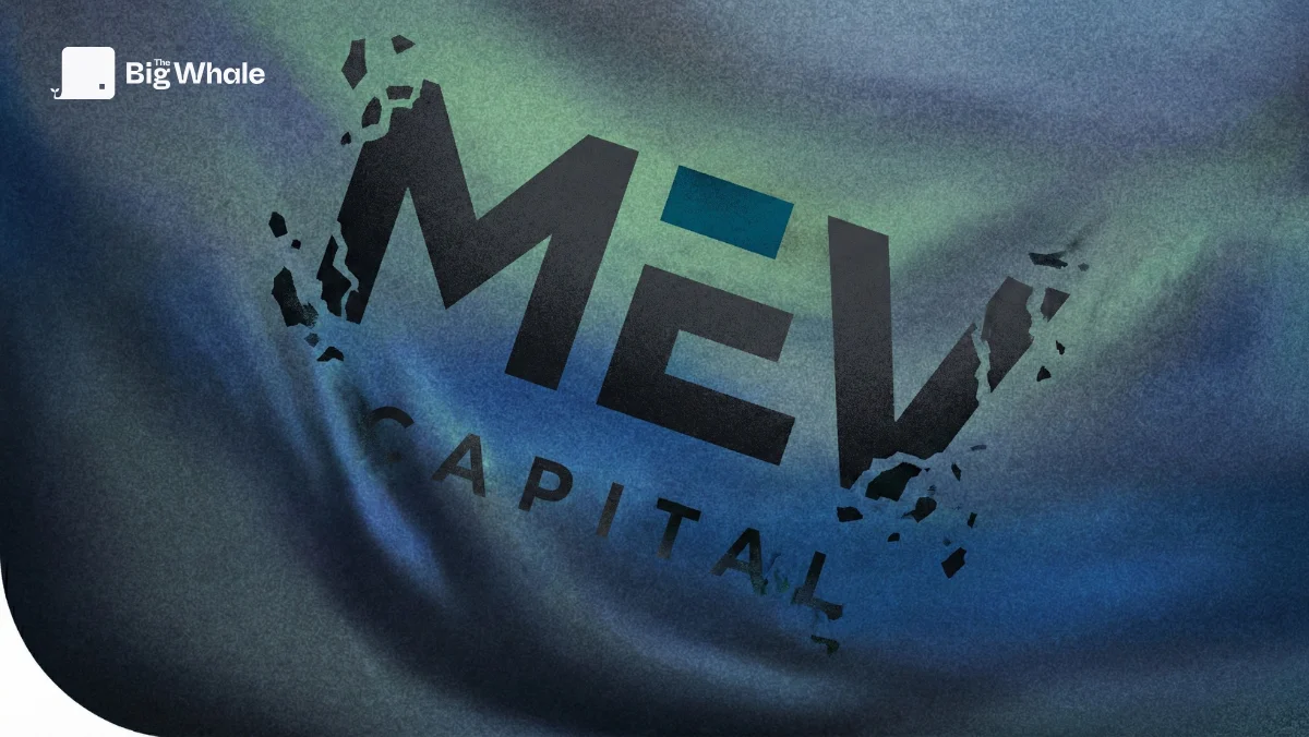 MEV Capital: Anatomy of a collapse and takeover by Belem Capital