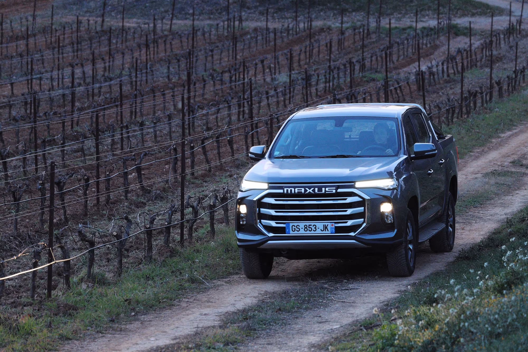 Silver Maxus pickup truck driving on a dirt road next to a vineyard.