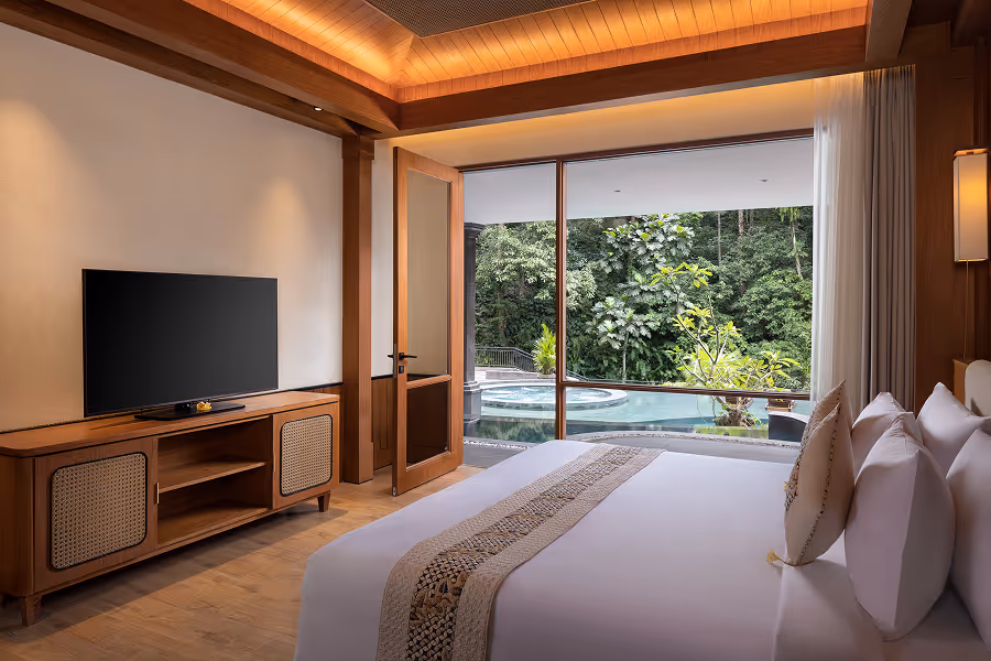 Suite With Plunge Pool - Bedroom with view