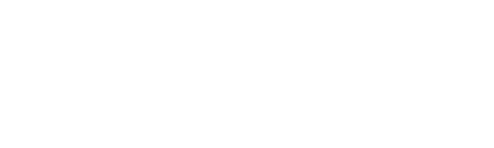 SEINE Batteriesysteme