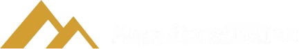 Ropa Construction Logo
