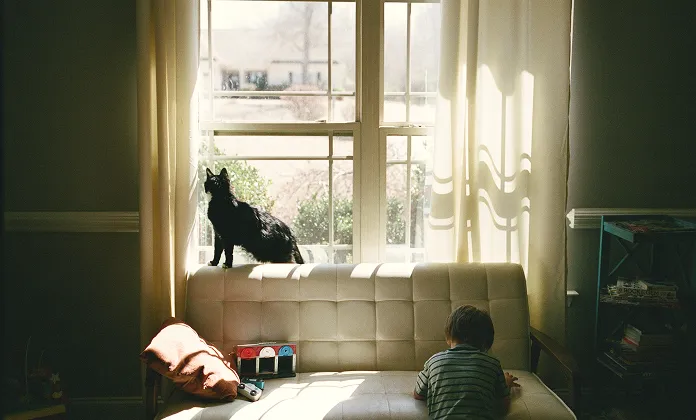 Your kid runs down the stairs without bumping into a ladder. You notice how quiet it is. 