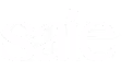 Saie logo