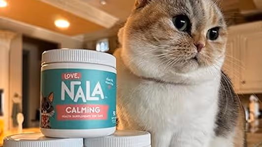 Calm cat sitting next to a container of Love, NALA Calming health supplement for cats.