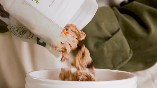 Dog food being poured from a white bag into a white bowl with a green blanket in the background.