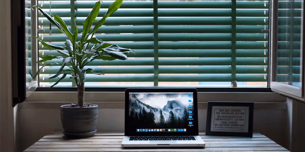 Minimalist Ecosystem photo of laptop on table