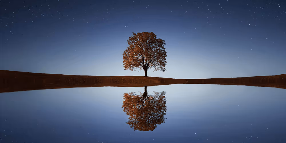 Tree's Reflection in Water and Environment