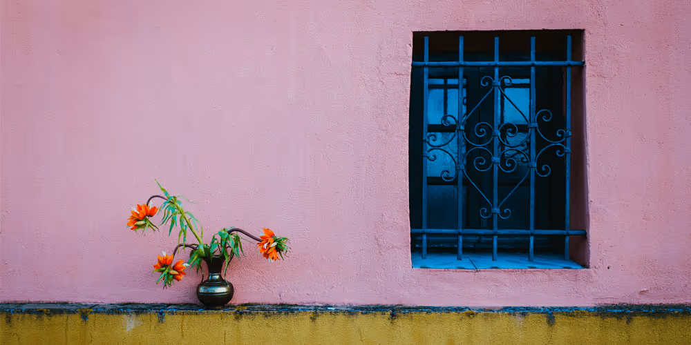 Barred Framed Window with Plant in isolated environment
