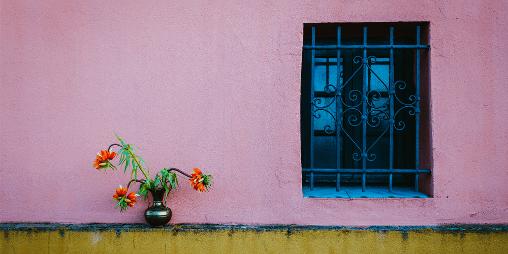 Barred Framed Window with Plant in isolated environment