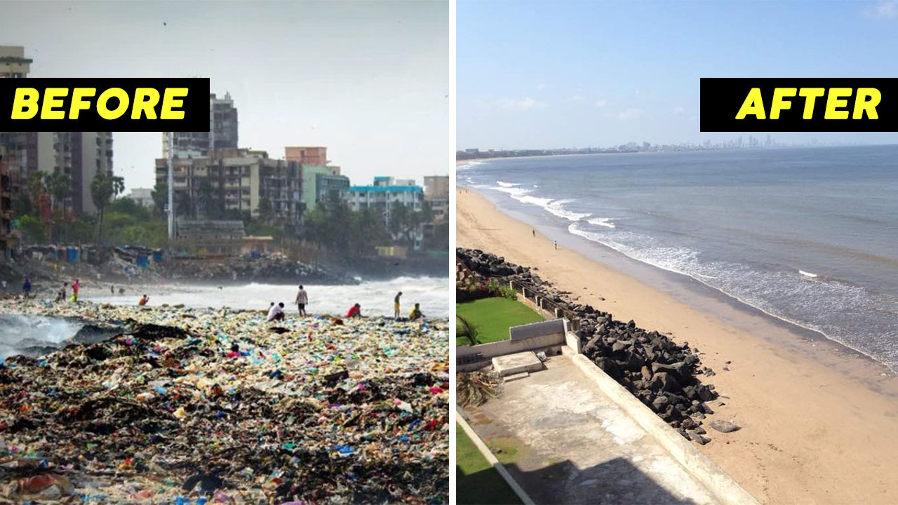 Picture showing the difference in the condition of Versova beach before and after its successful beach cleanup 