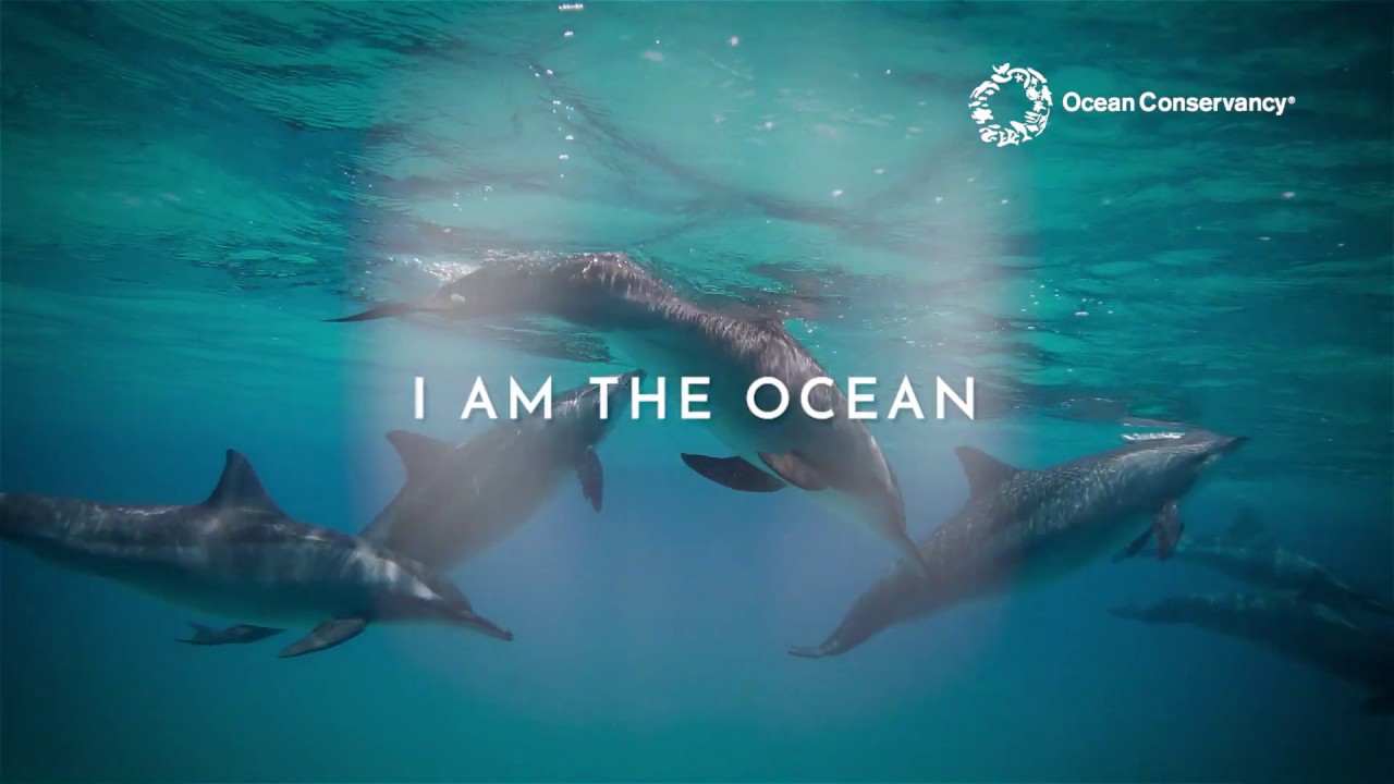 The Ocean Conservancy, one of the non-profits fighting ocean plastics today