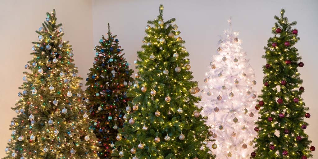 5 Christmas trees, next to each other