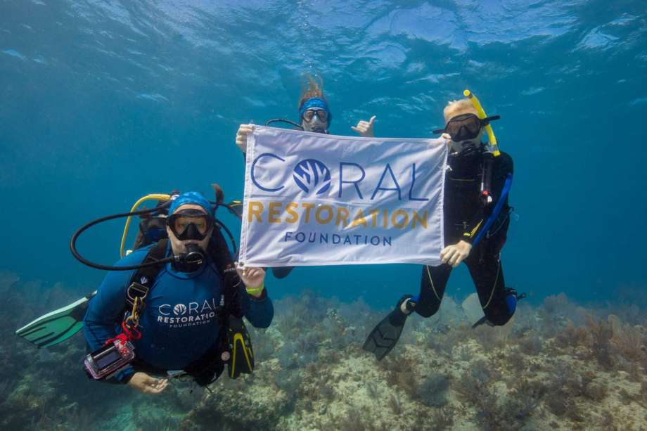 Members of Coral Restoration Foundation, an environmental non-profit