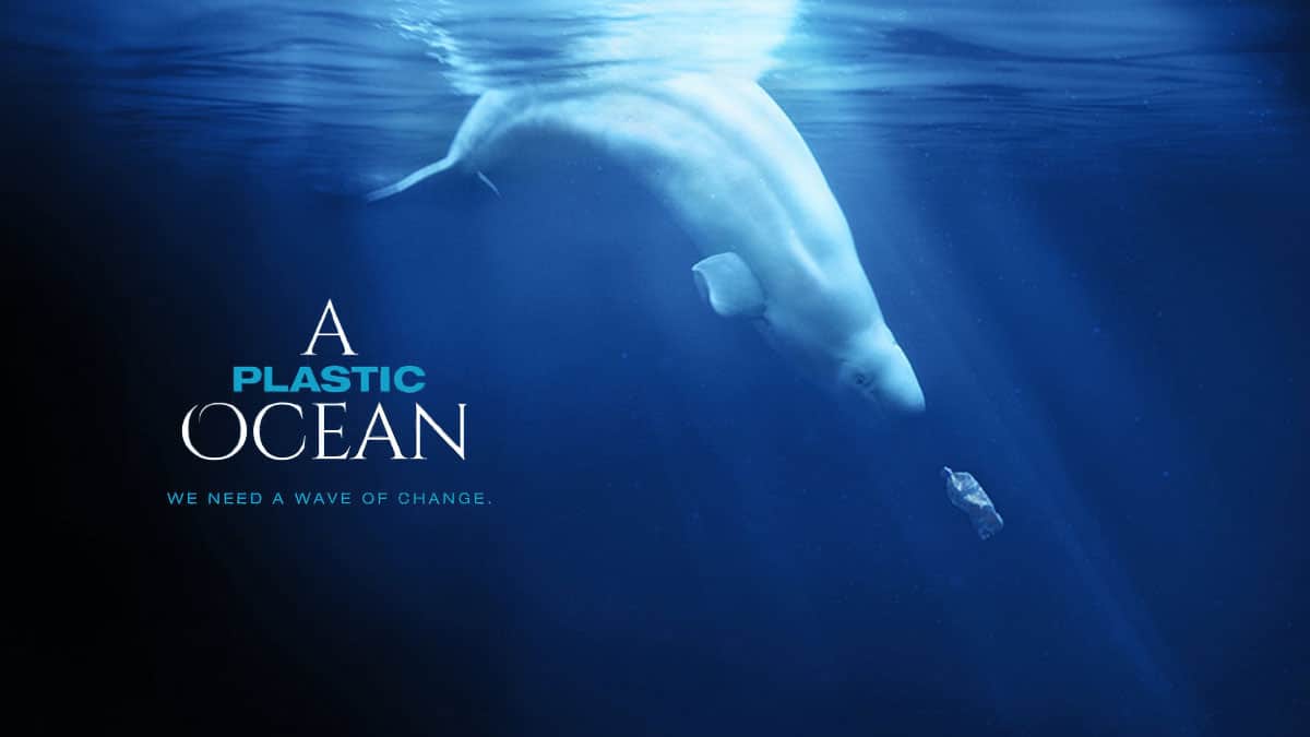 A Plastic Ocean- a must-watch environmental documentary