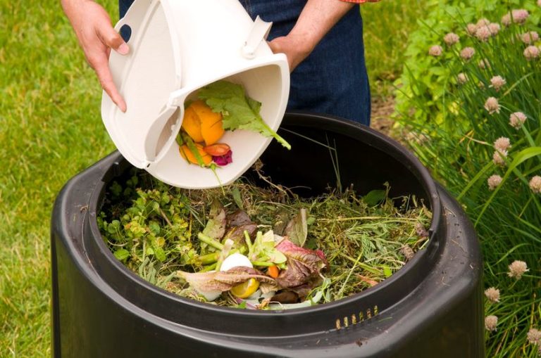 Using leftover bio-degradable materials to make compost at home