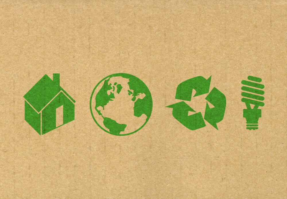 Carbon and Plastic Footprints