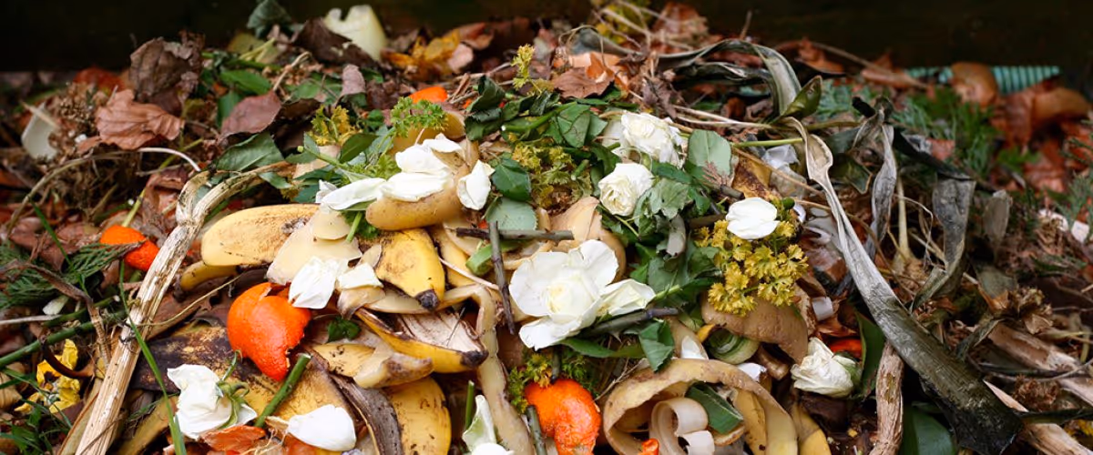 Biodegradable waste decomposing naturally