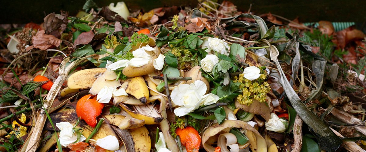 Biodegradable waste decomposing naturally