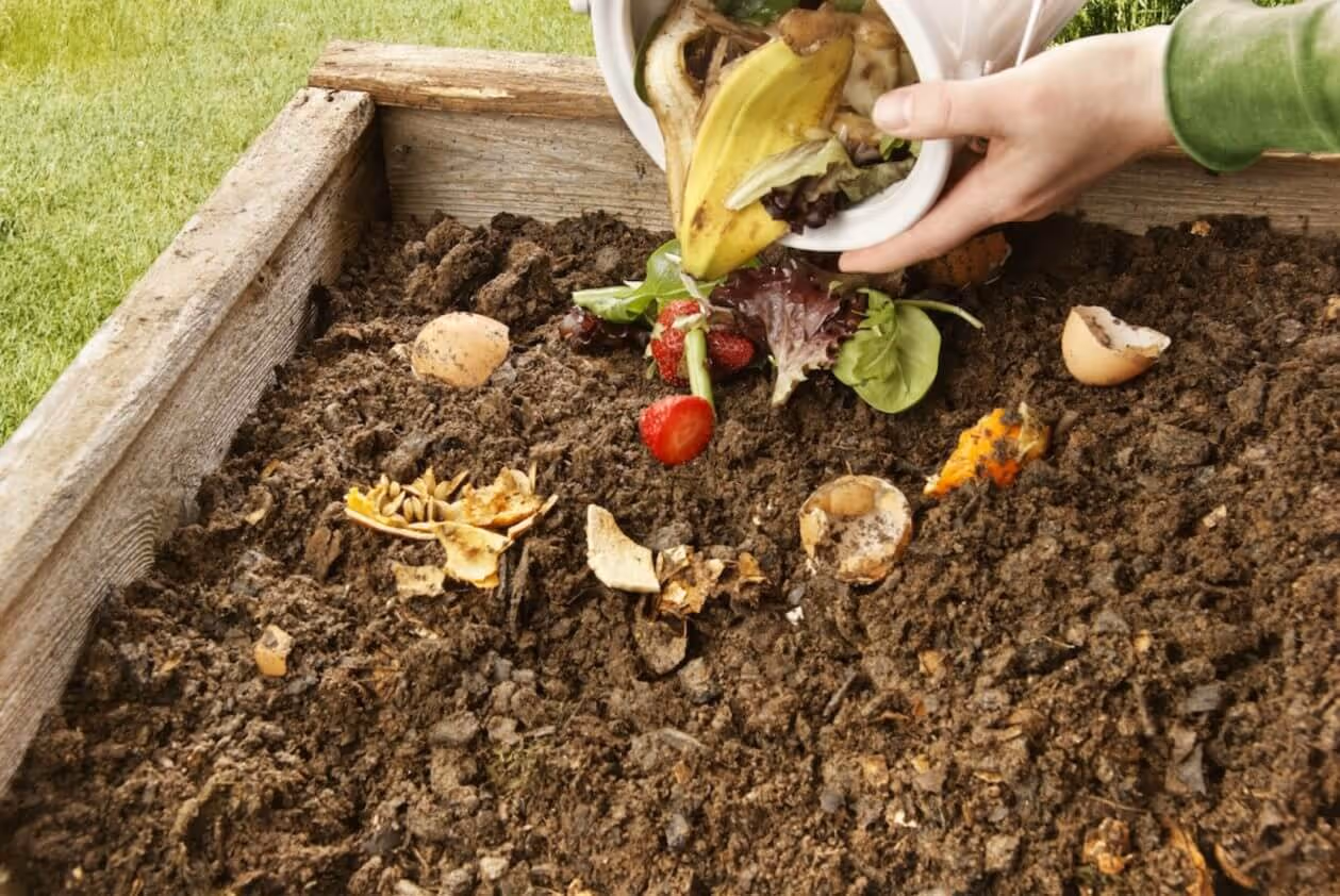 Waste items being made into compost at home