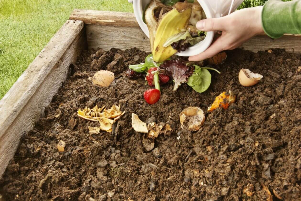 Waste items being made into compost at home
