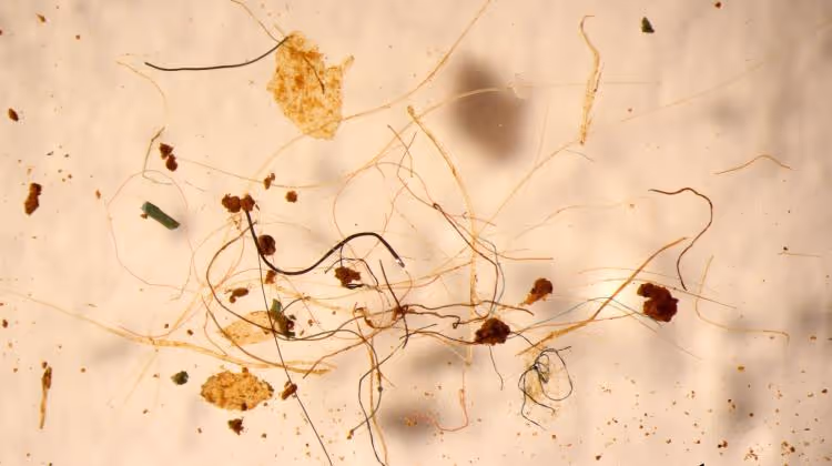 Microplastics floating in the air