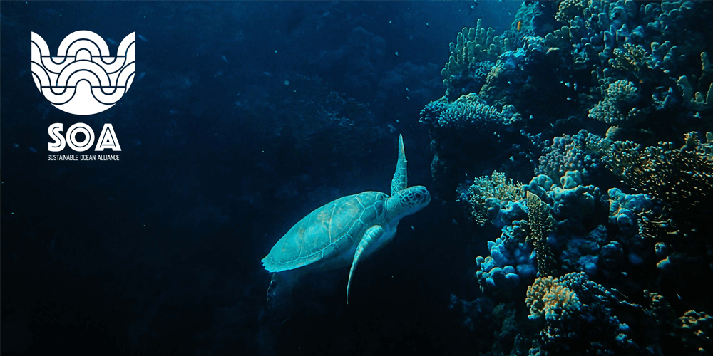 Sustainable Ocean Alliance Sea turtle coral reef