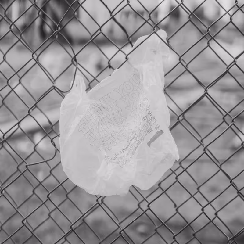 A plastic bag with the words 'Thank You' on it stuck on criss-cross metal net