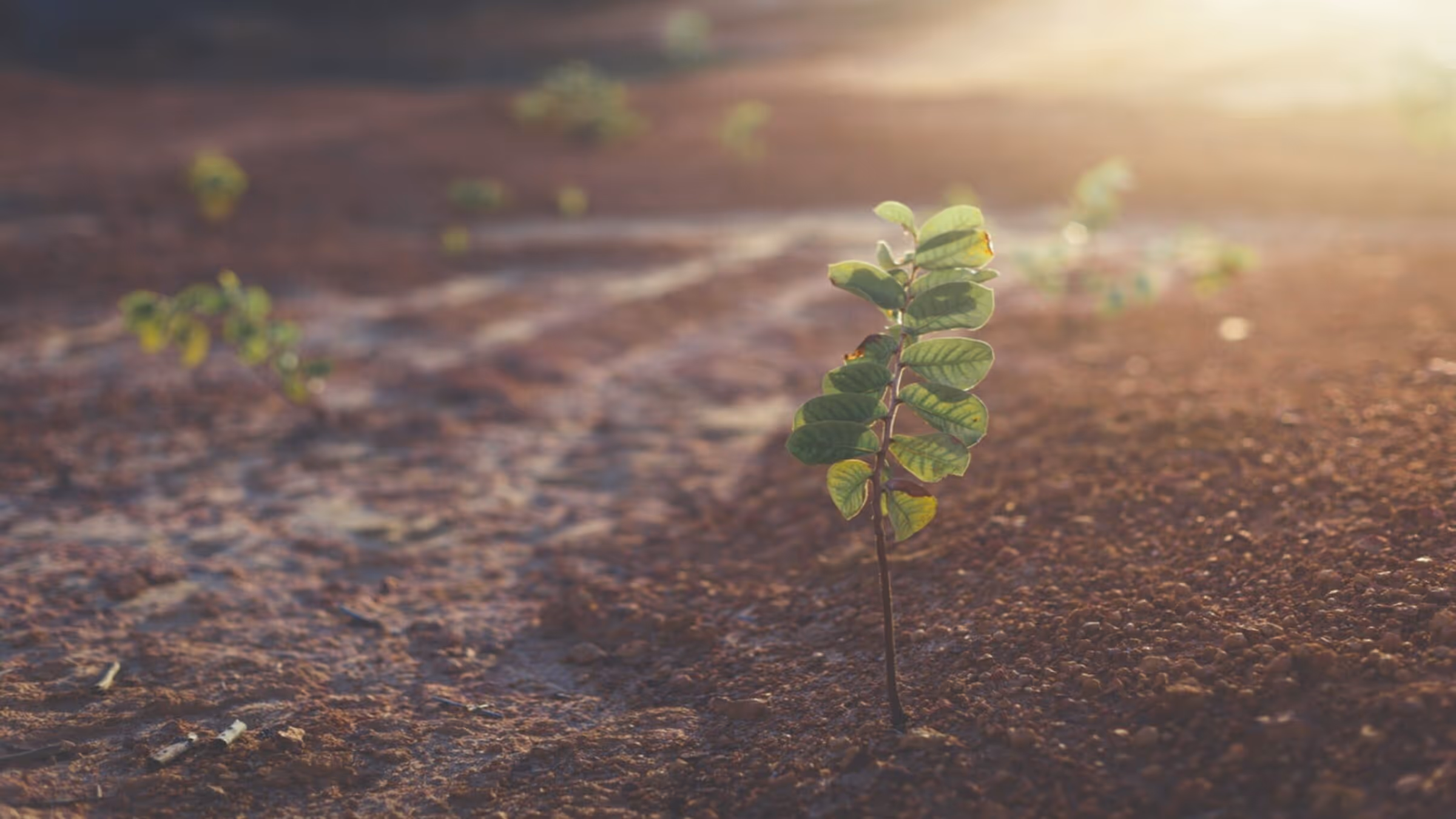 Powerful Tips to Keep Up With Your Sustainable 2020 Resolutions