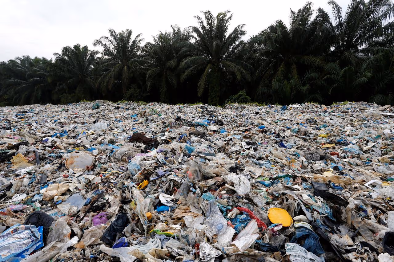 A beach coast covered with plastic waste with palm tress in the background