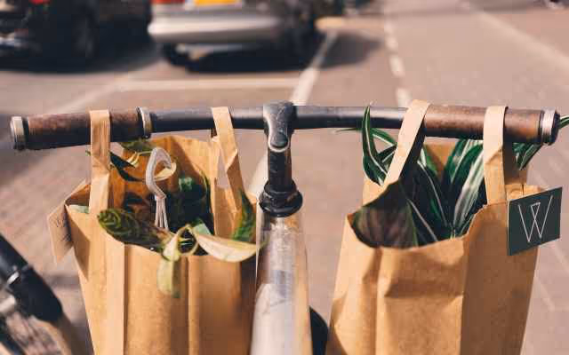 A bicycle handle with two paper bags with vegetables in them showing how a consicous consumer is helping the planet