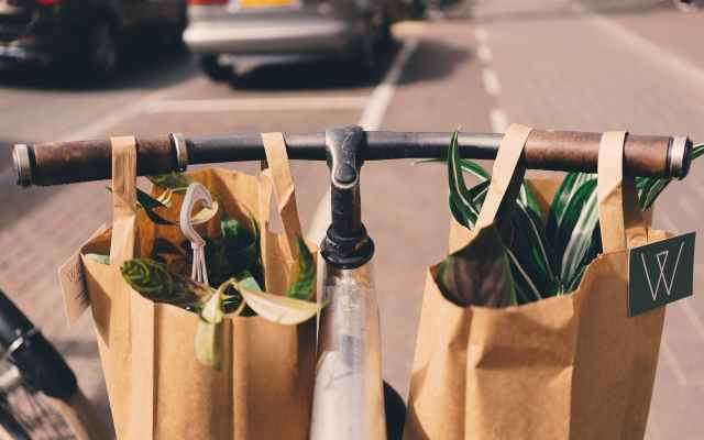 A bicycle handle with two paper bags with vegetables in them showing how a consicous consumer is helping the planet