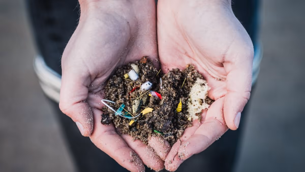 Soil with microplastics mixed in it showing the effect of plastic in forests